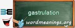 WordMeaning blackboard for gastrulation